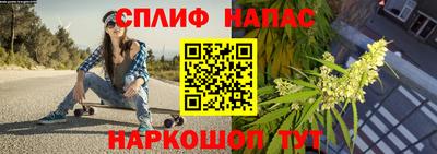 гидра Пушкино