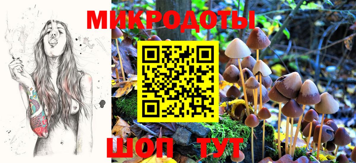 Галлюциногенные грибы Psilocybine cubensis Приморско-Ахтарск