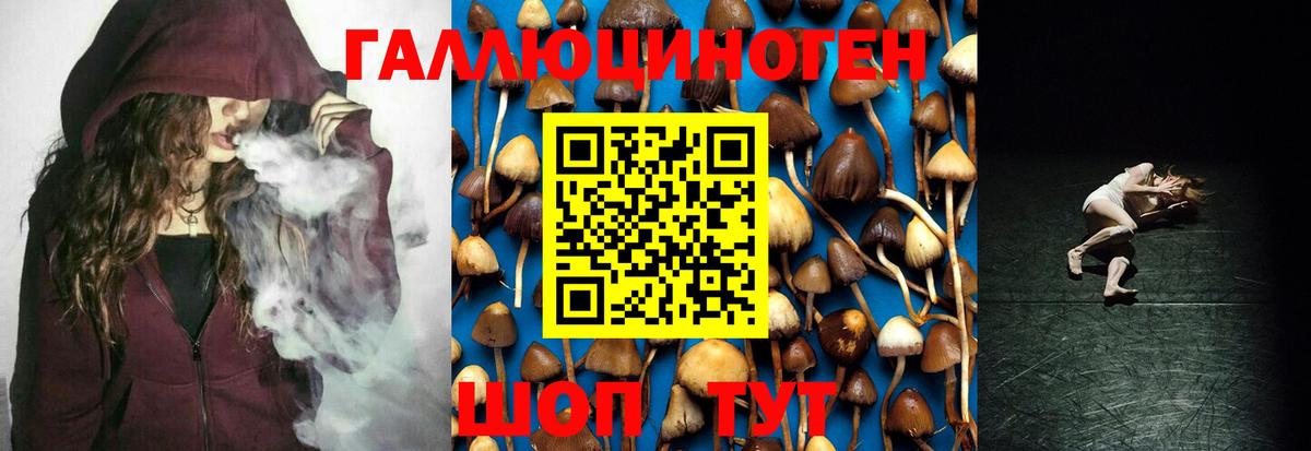 Псилоцибиновые грибы Cubensis  Галлюциногенные грибы MAGIC MUSHROOMS  купить наркотики цена  Вход с VPN  Приморско-Ахтарск 