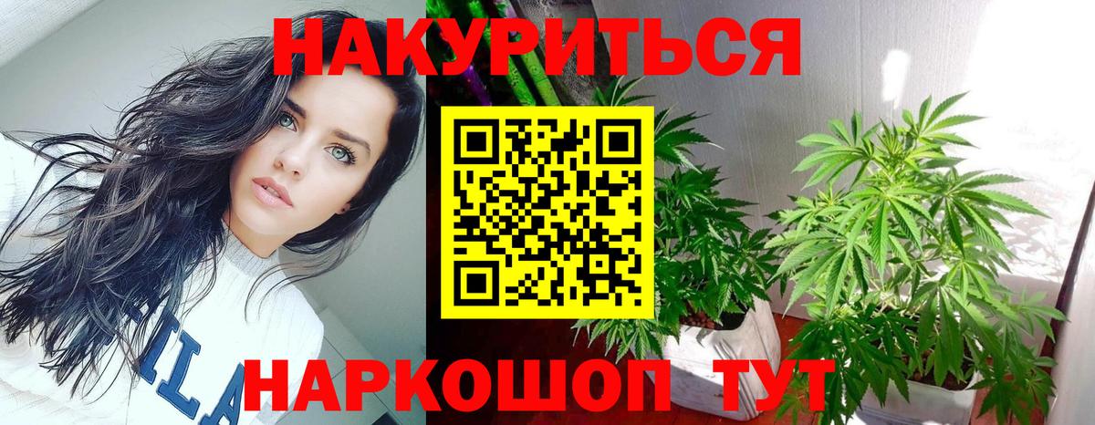 Каннабис OG Kush Приморско-Ахтарск